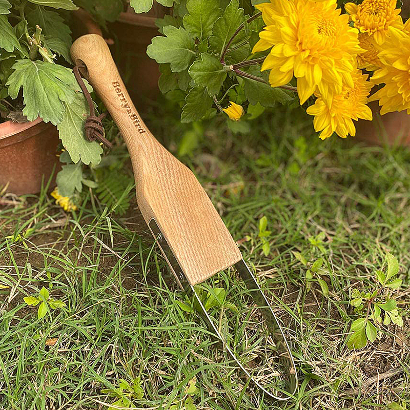 Berry Bird-不銹鋼刮草器