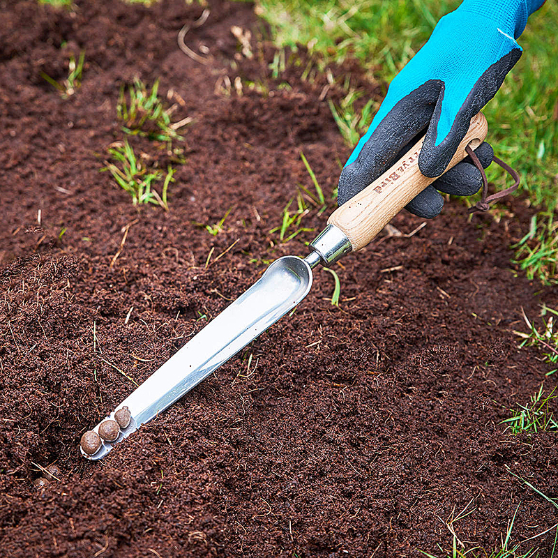 Berry Bird-不銹鋼長條手鏟