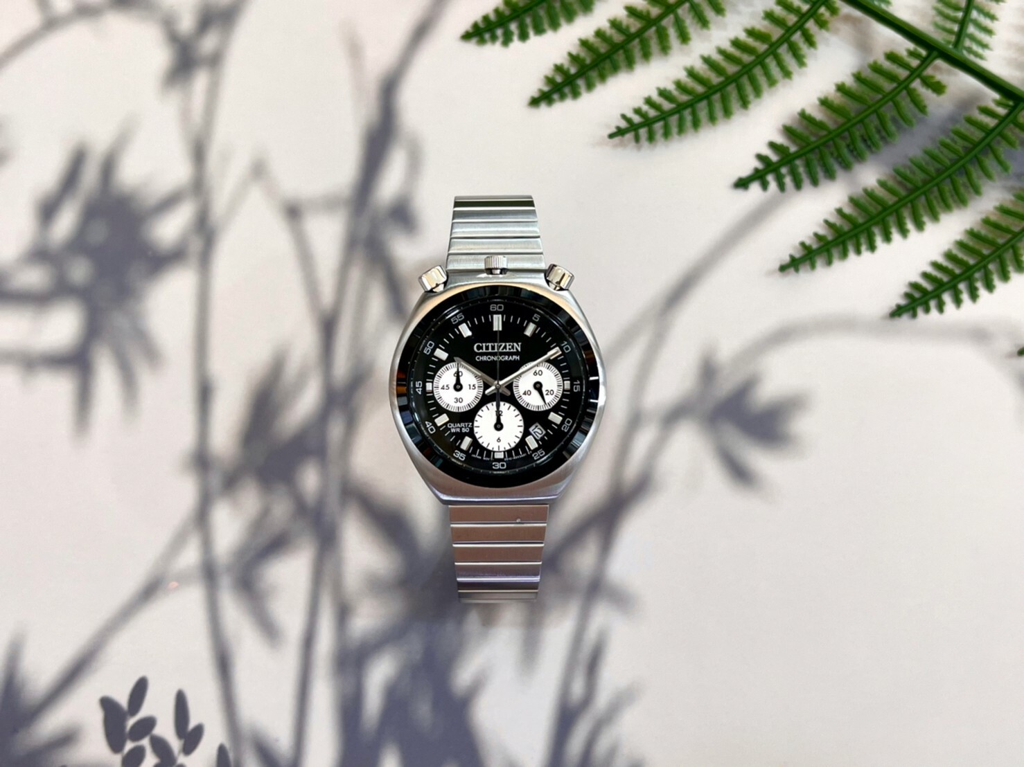 【CITIZEN 星辰】Chronograph Tsunokurono 50周年 牛頭錶 熊貓計時手錶 AN3660-81E 38mm 現代鐘錶