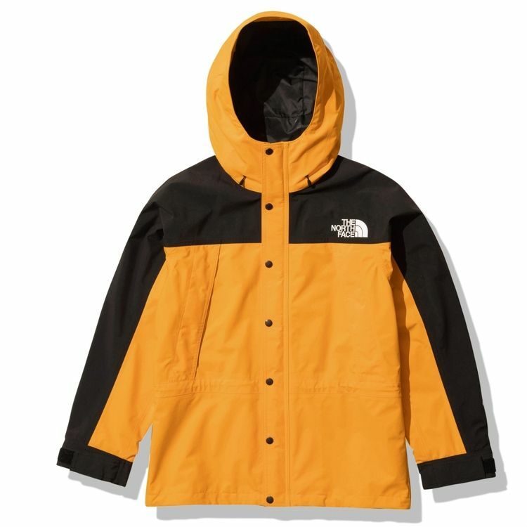 NP62236 HE NORTH FACE MOUNTAIN LIGHT JACKET GORE TEX