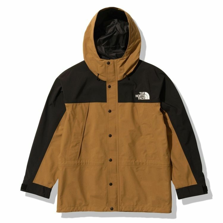 NP62236 HE NORTH FACE MOUNTAIN LIGHT JACKET GORE TEX