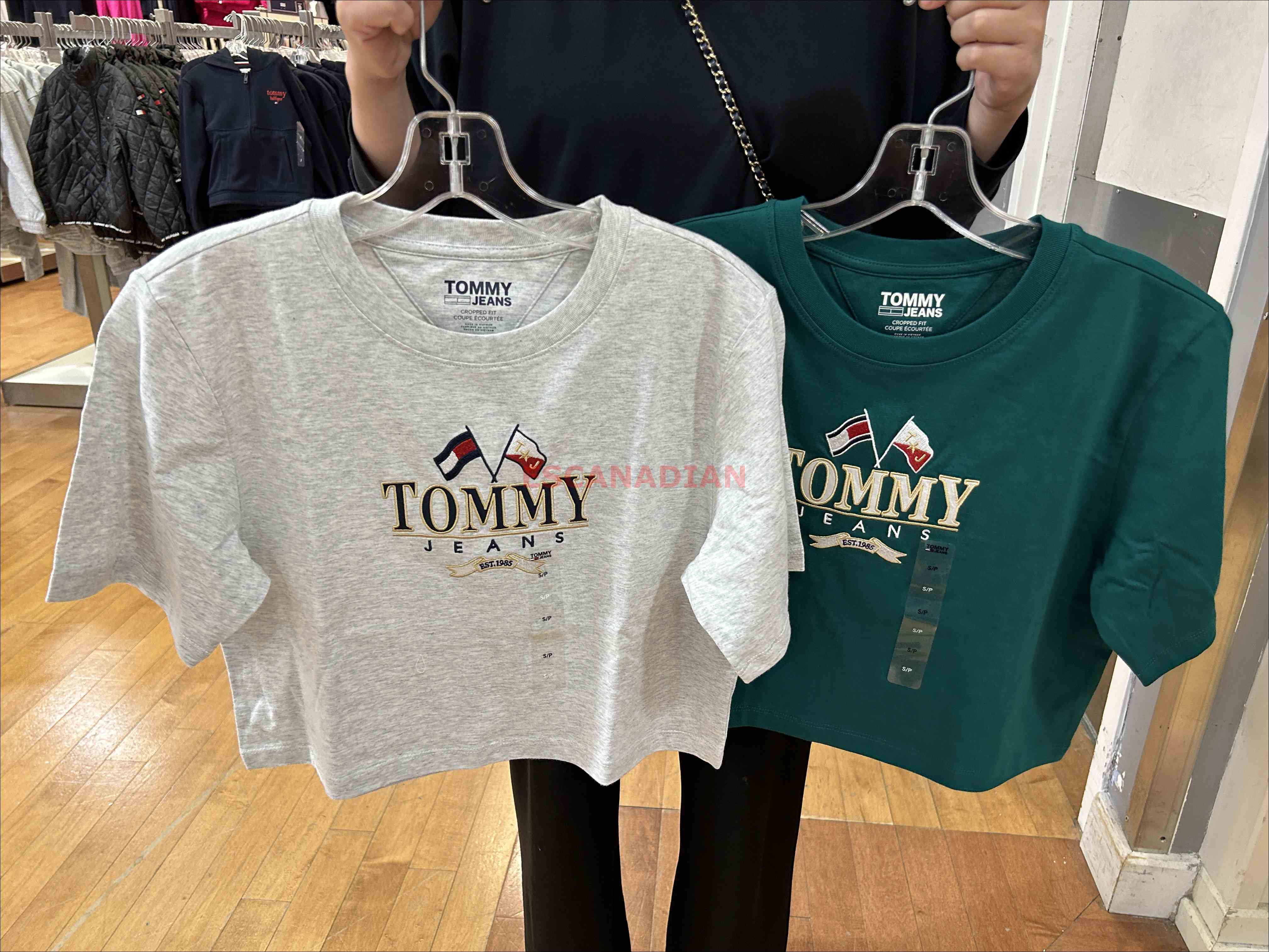 TOMMY 女大人  Jeans系列 短版 電繡圖案 短TEE (2色)
