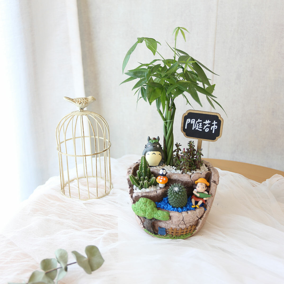 PD11｜自然系造型植栽