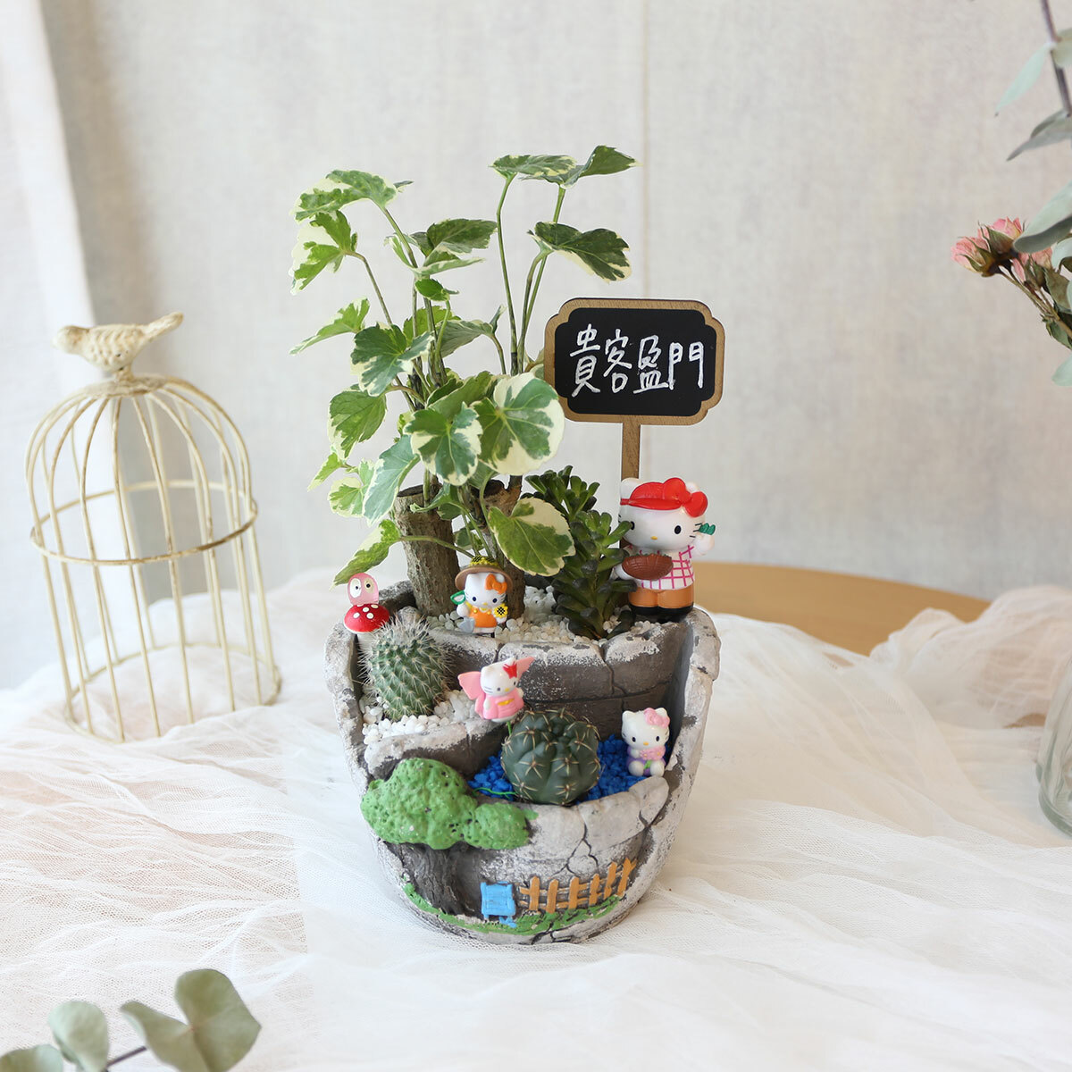 PD13｜自然系造型植栽