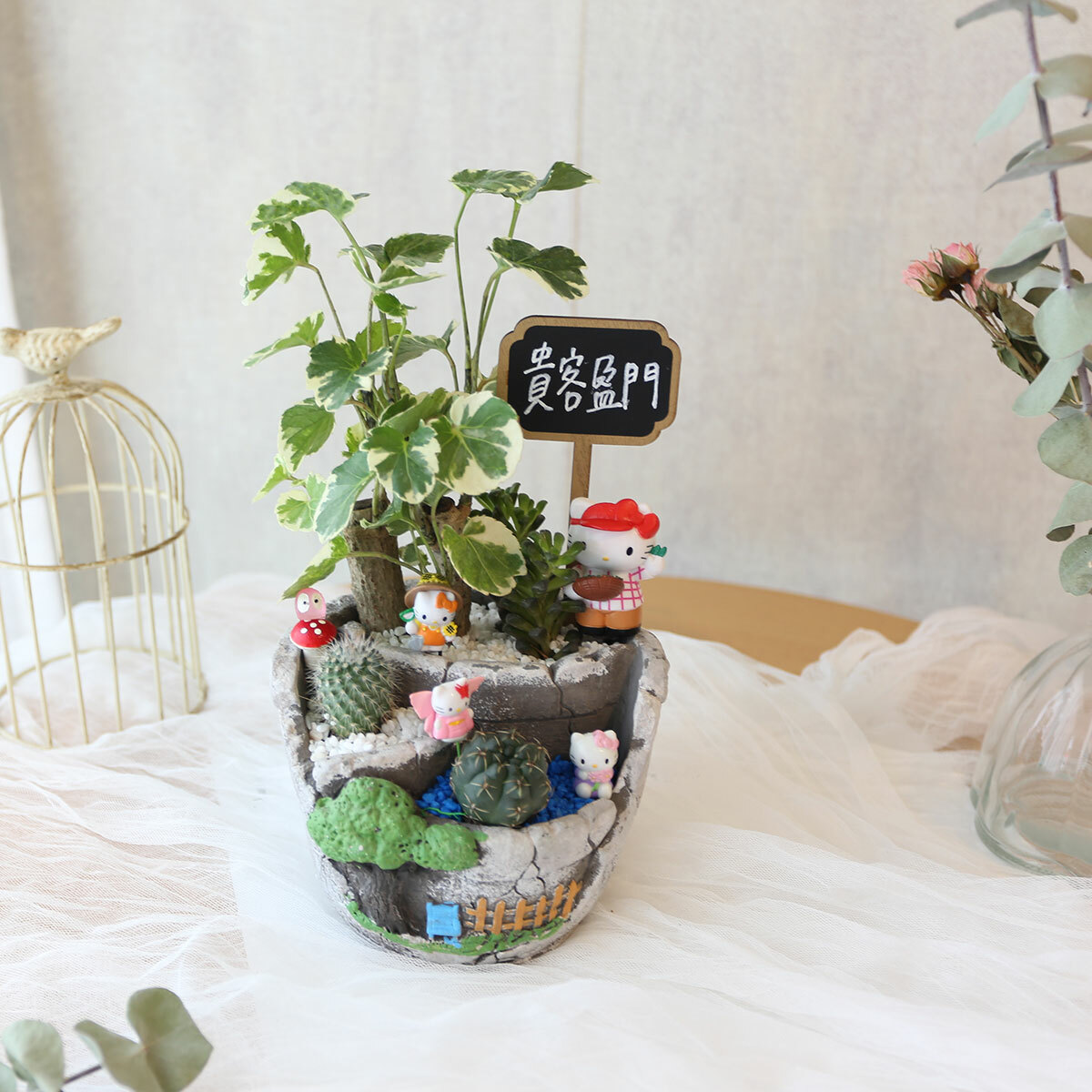 PD13｜自然系造型植栽