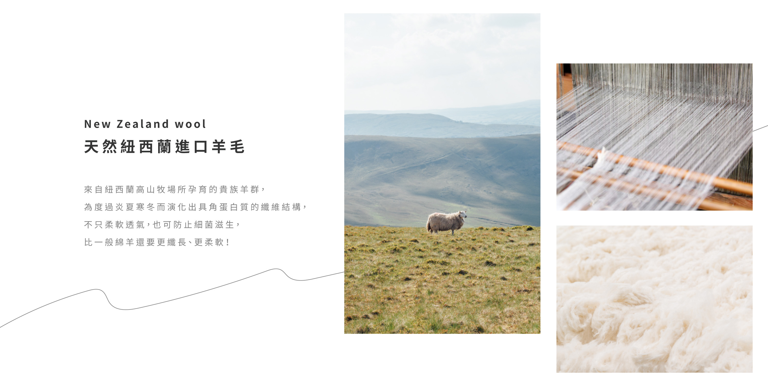 羊毛介紹