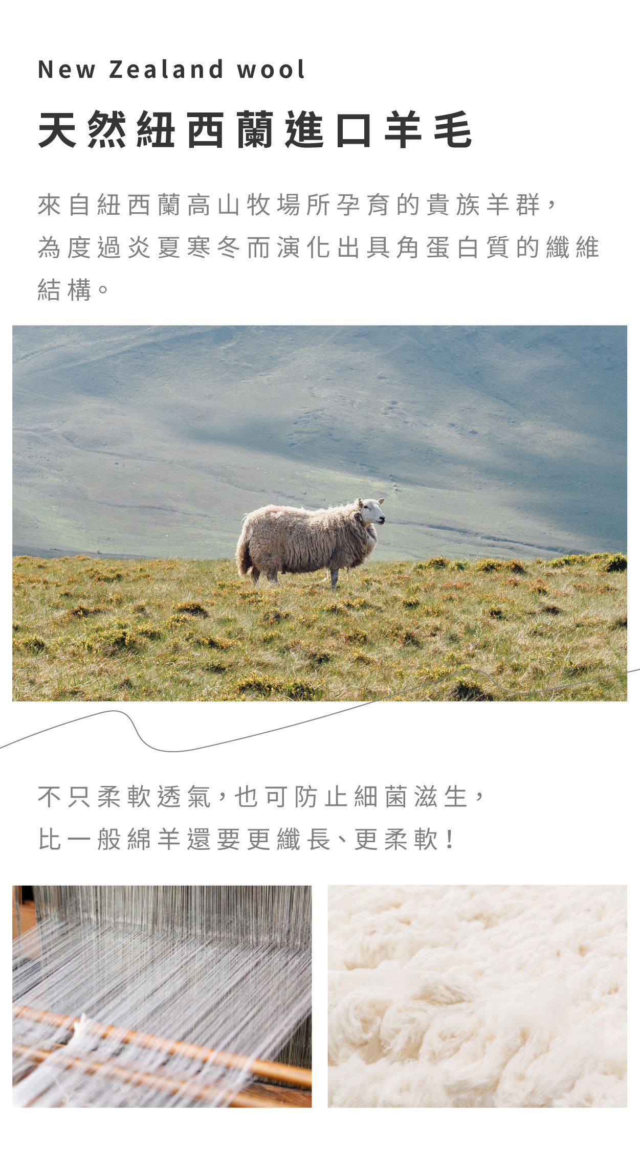 羊毛介紹