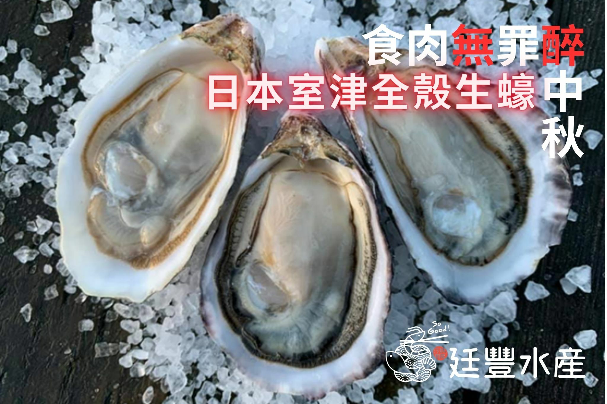 日本2L生食級室津全殼生蠔