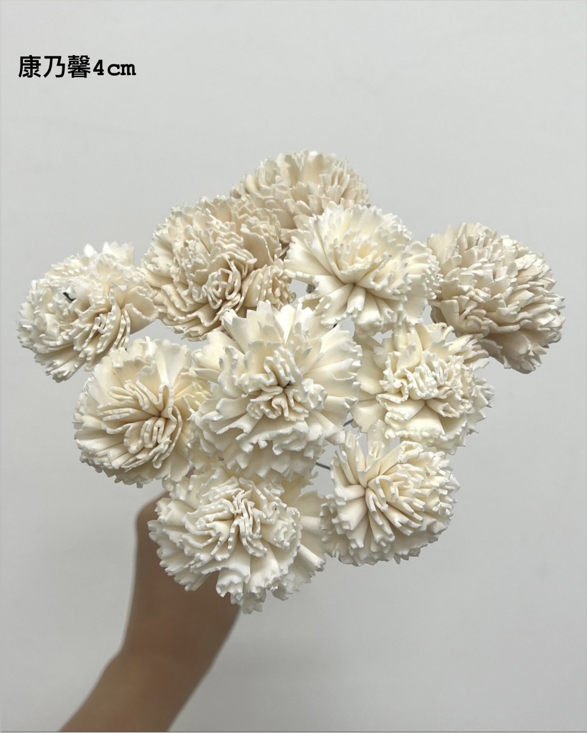 印度索拉花 康乃馨 4CM <十支一把>