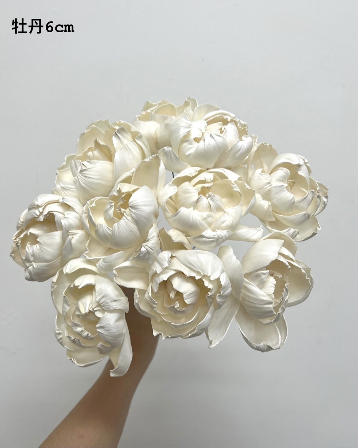 印度索拉花 牡丹 6CM <十支一把>