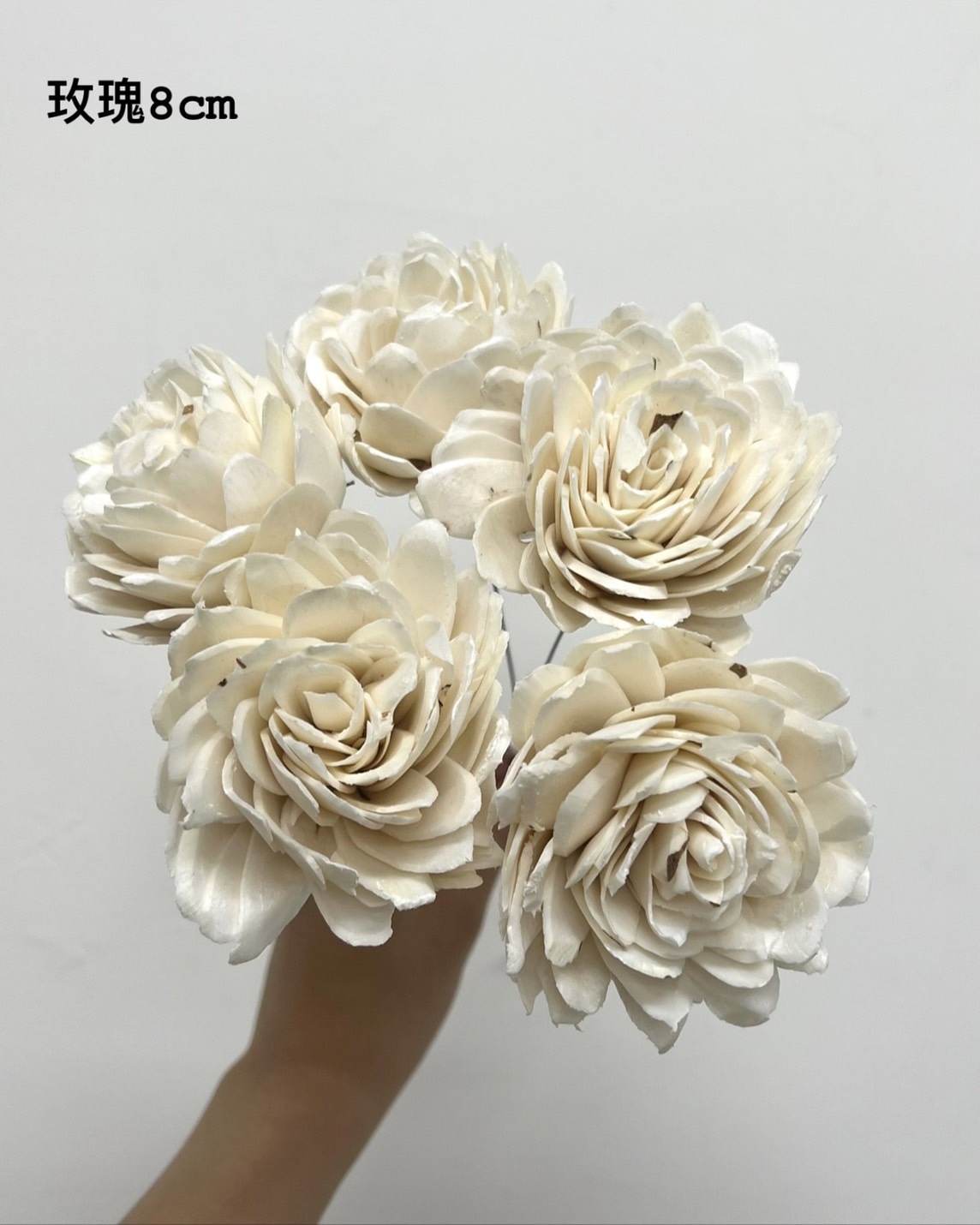 印度索拉花 玫瑰 8CM <五支一把>