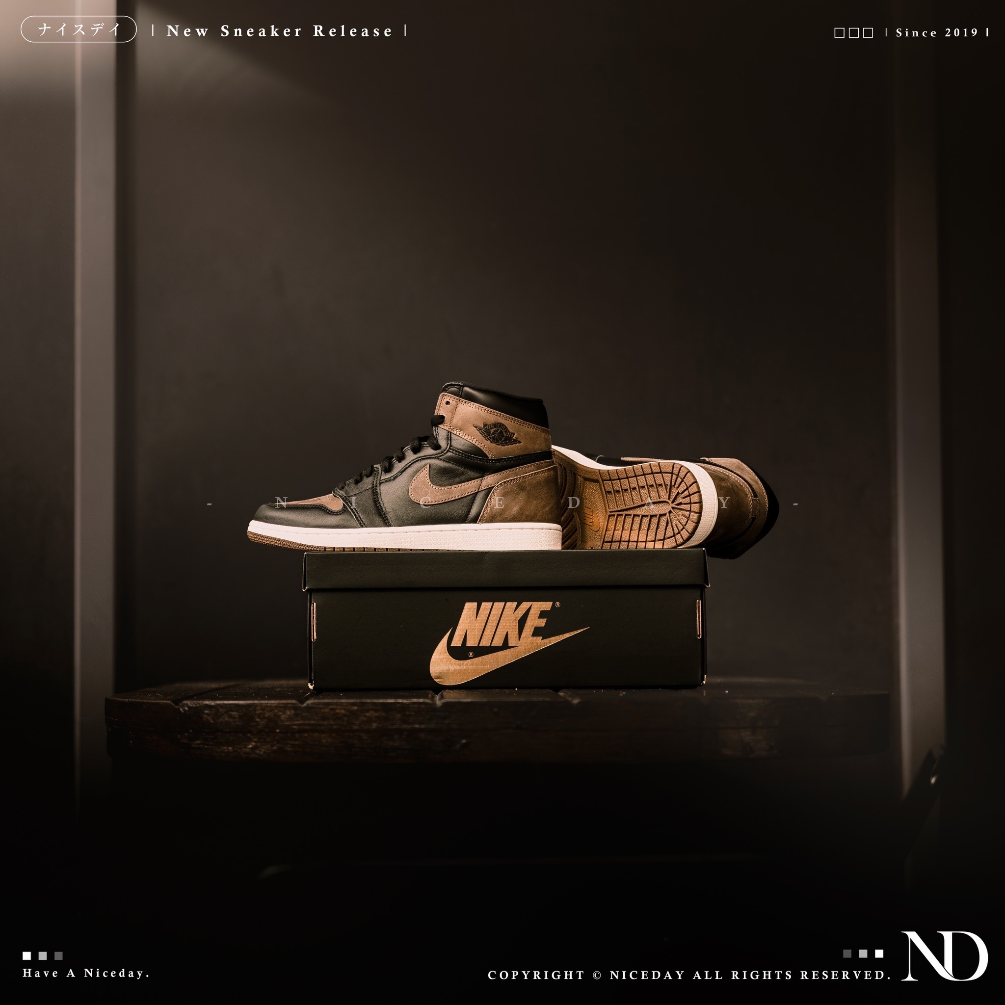 NICEDAY 部分現貨/代購 Nike Jordan 1 High OG Palomino 喬丹 一代 摩卡 麂皮 深棕 男鞋 DZ5485-020