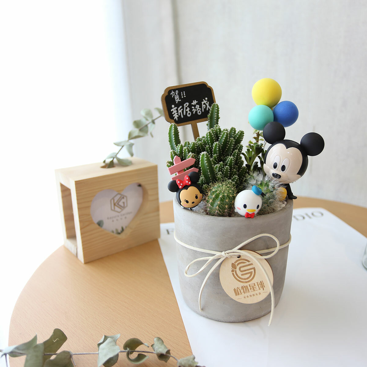 PD154｜迪士尼系列公仔盆栽