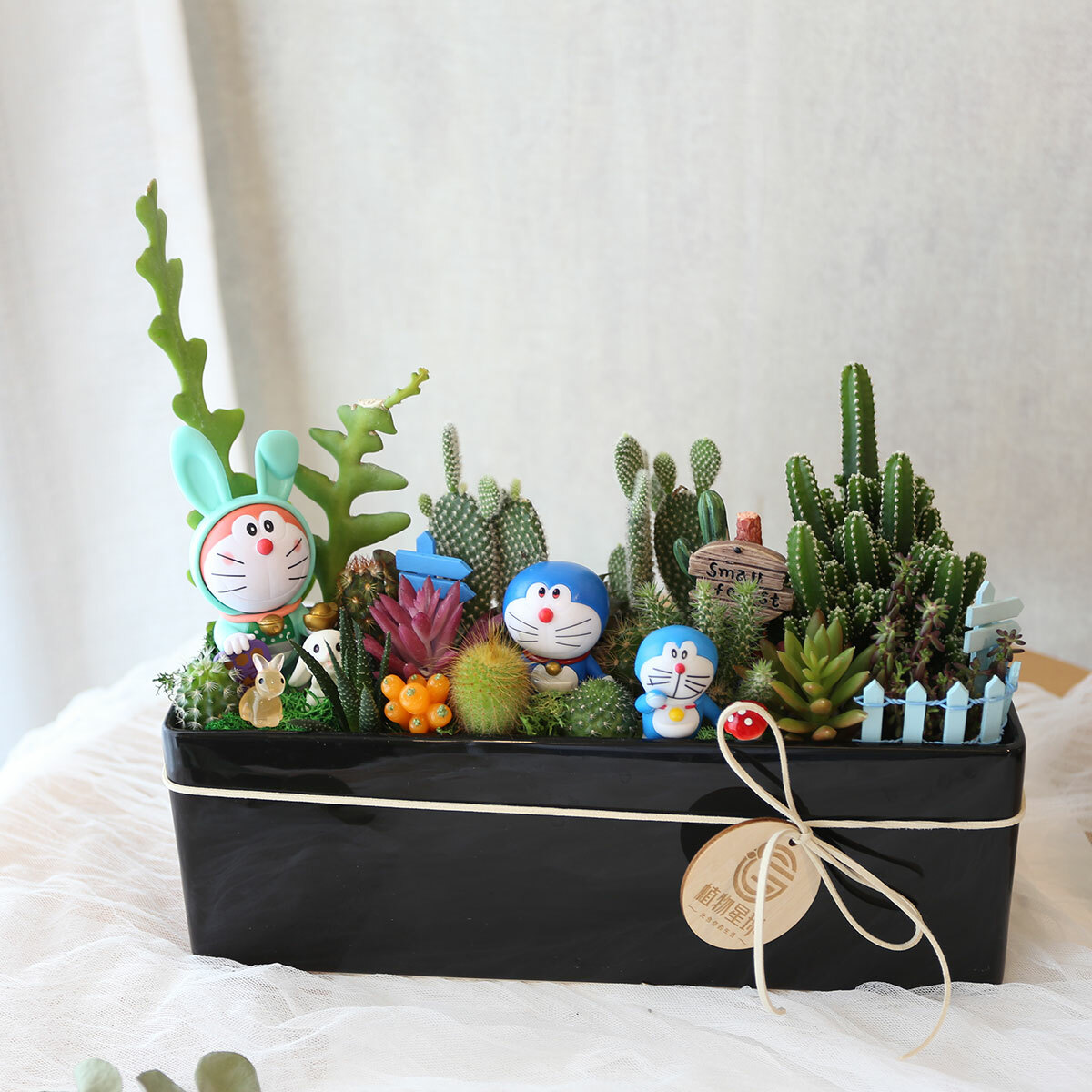 PD153｜可愛公仔多肉仙人掌盆栽