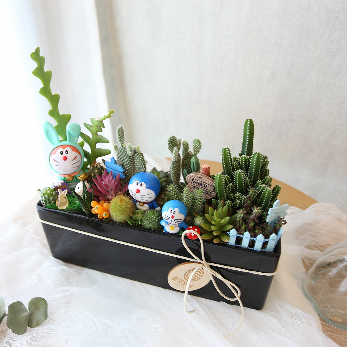 PD153｜可愛公仔多肉仙人掌盆栽