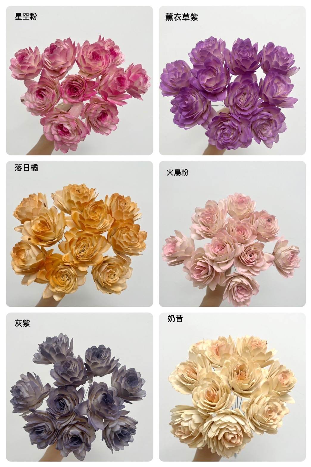 印度索拉花 玫瑰 6CM <十支一把>
