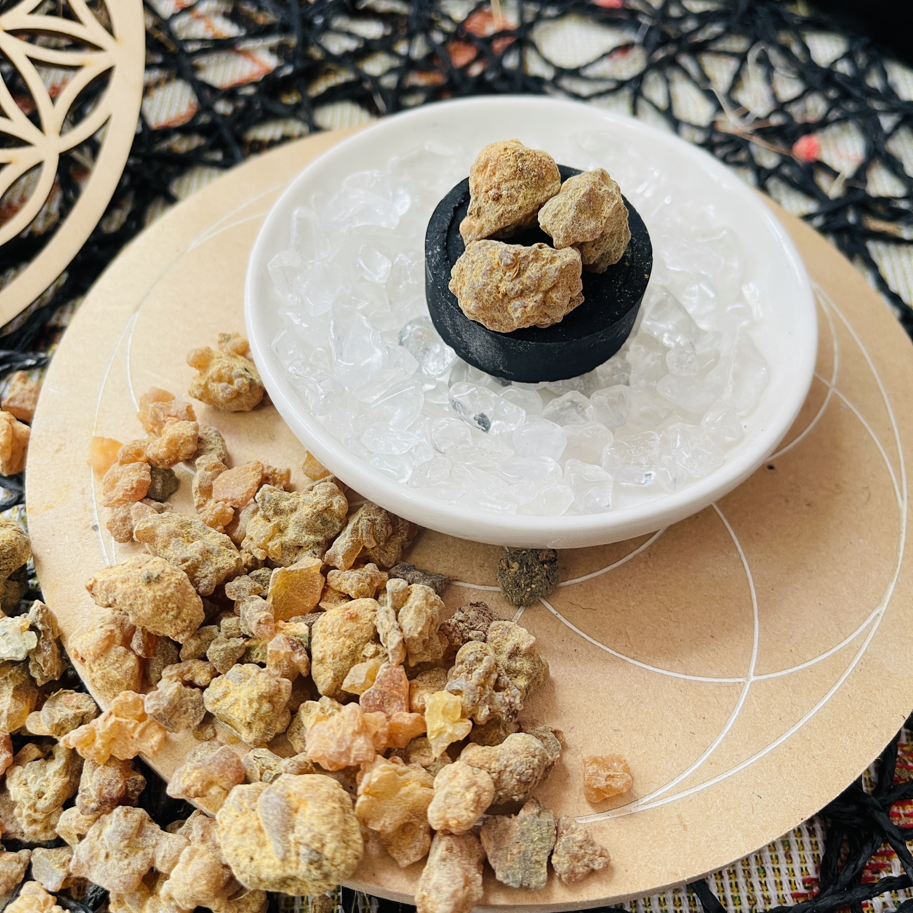 Rus tilida etuk ayollar porno tomosha