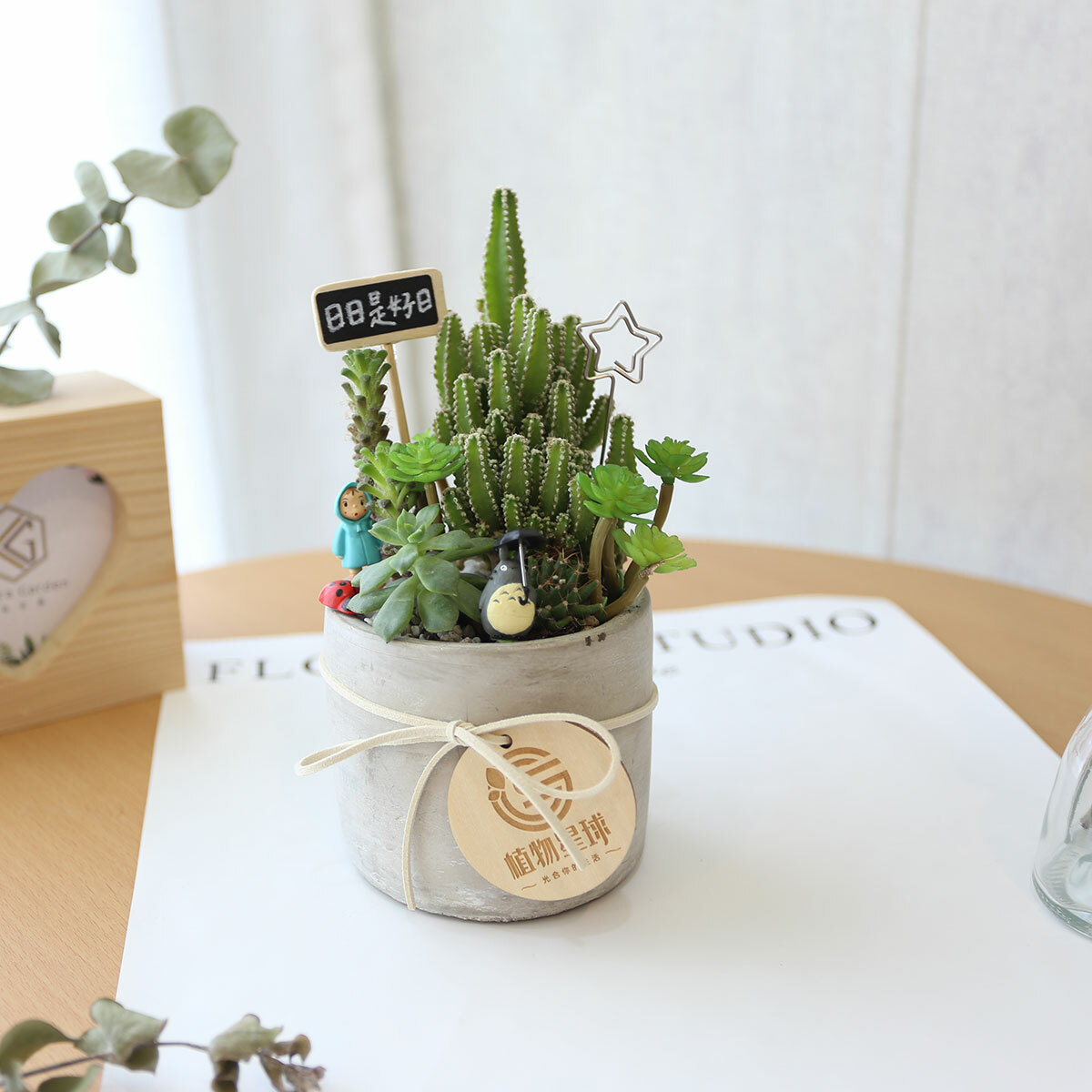 PD143｜仙人掌水泥盆植栽