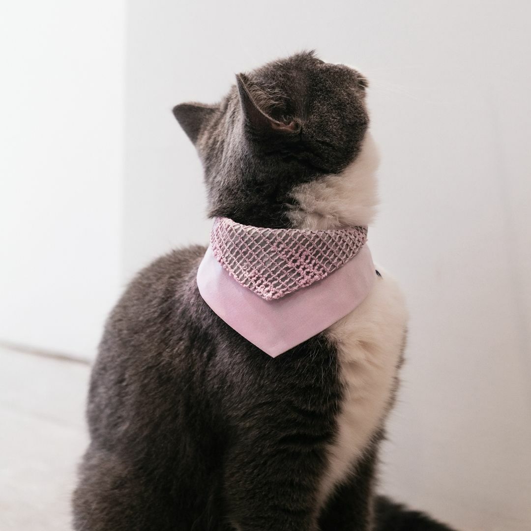 寵物領巾