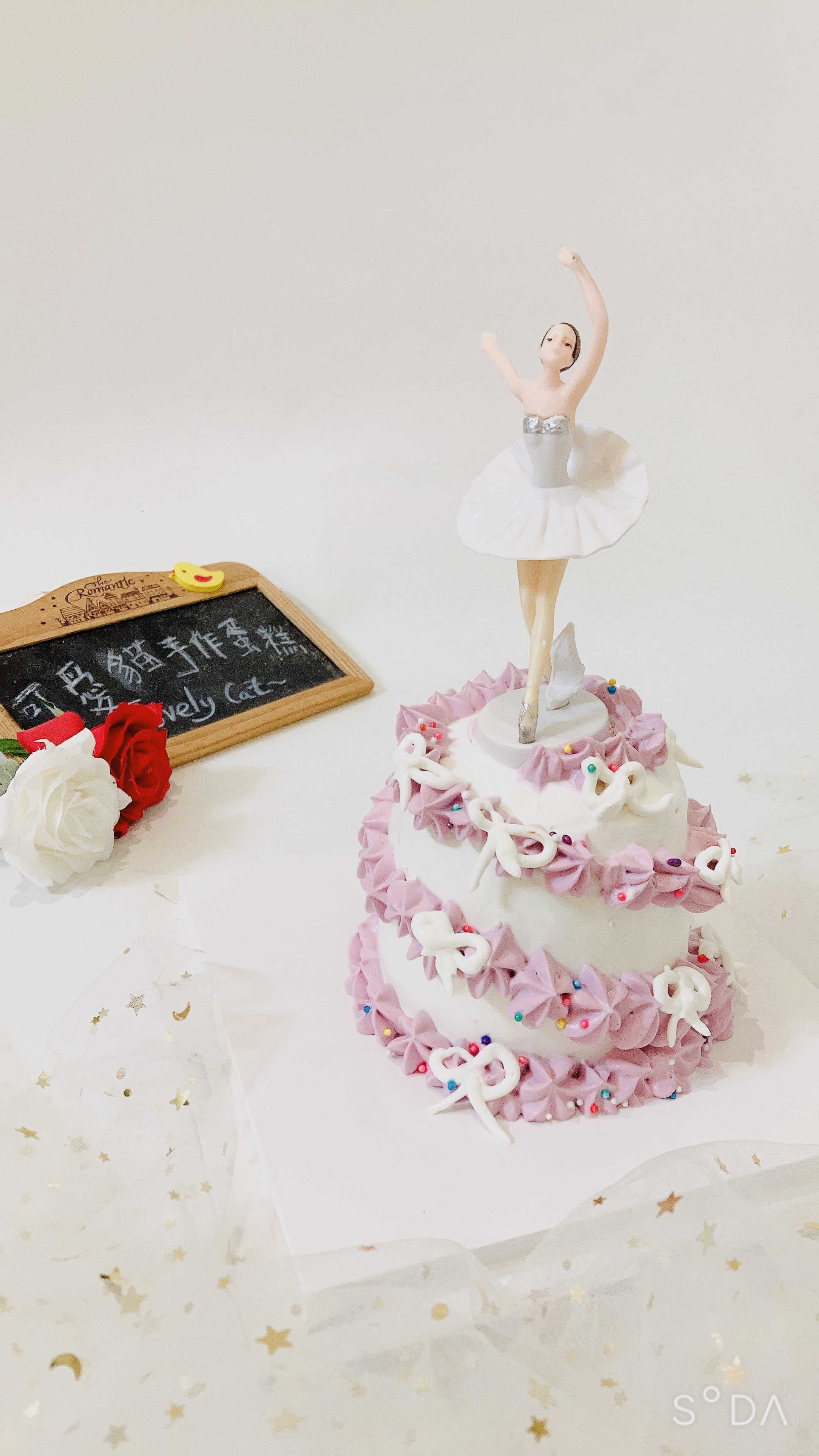 夢想舞者/玫瑰之舞 ~不含皇冠