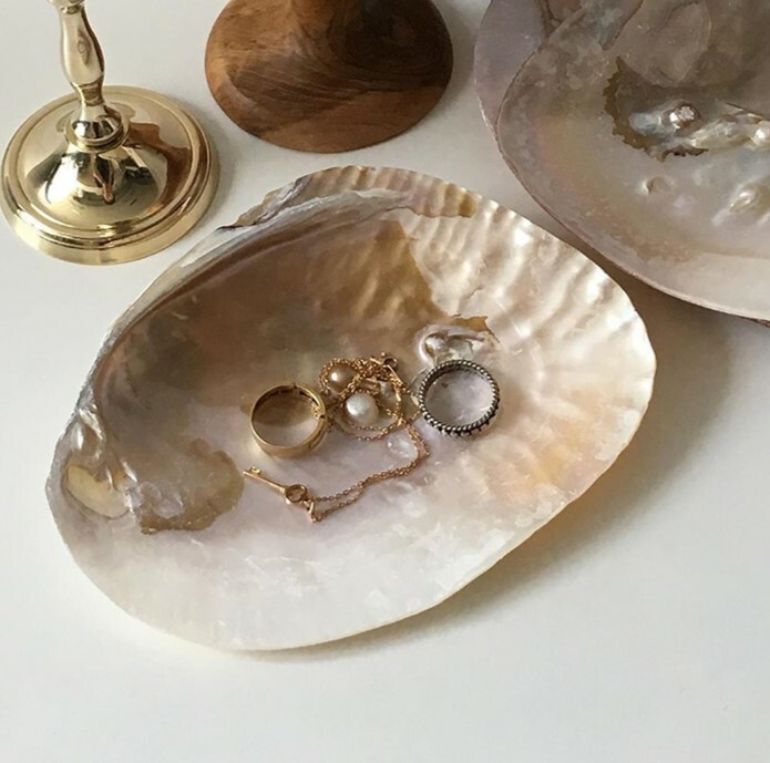 《2980》仙女貝殼造型擺飾收納盤