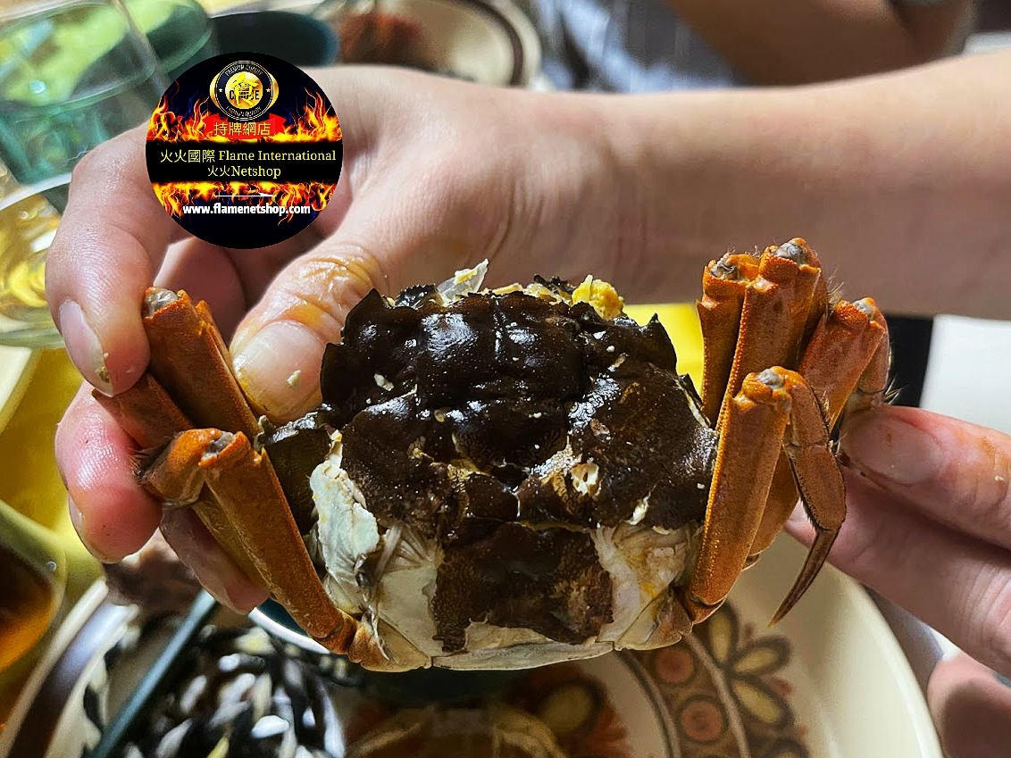 是日精選-六月黃