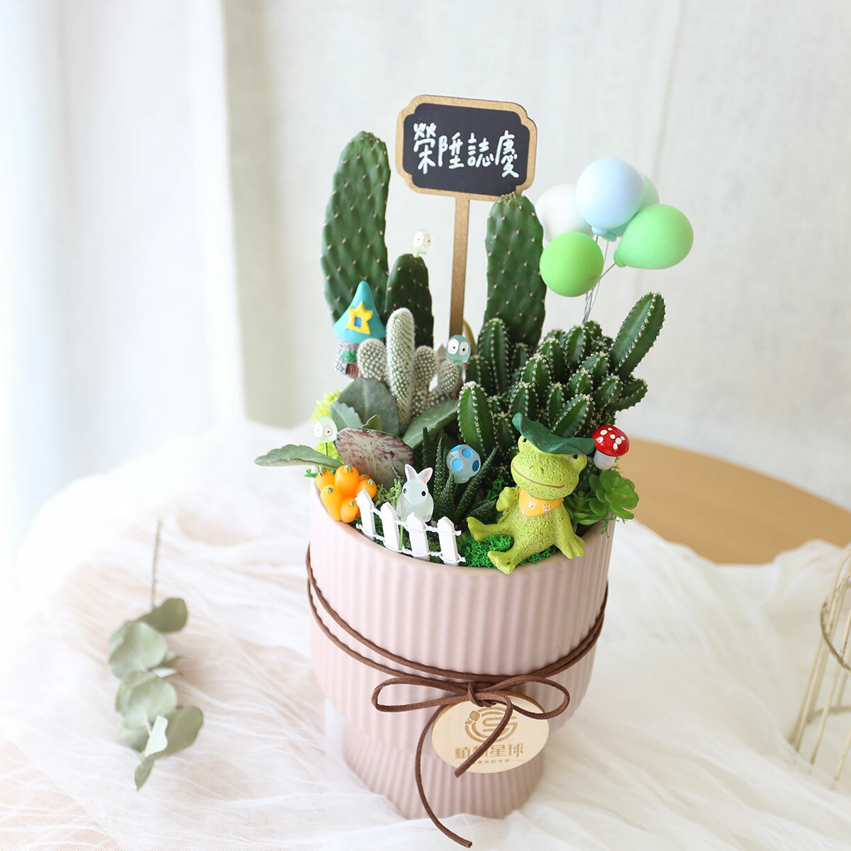 PD93｜可愛公仔仙人掌組盆