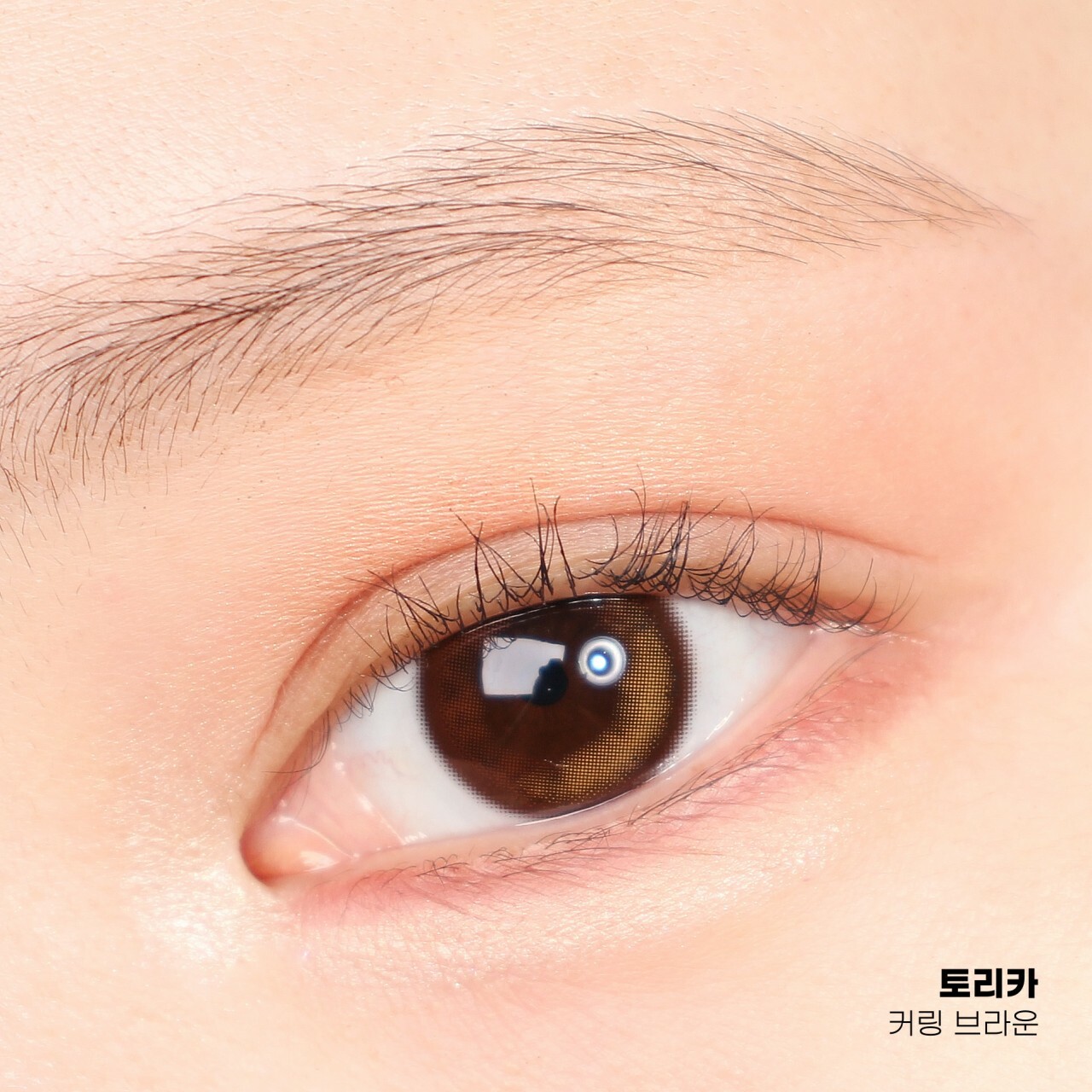 [半年拋][散光] Lensme Torica KURING 6  Month Brown 隱形眼鏡｜1片