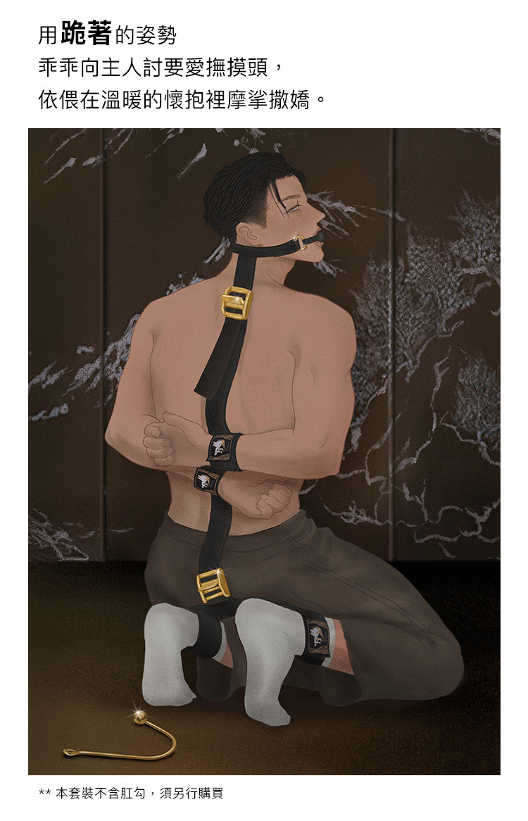 UPKO 駟馬縛套裝 口球 束縛 固定手腳