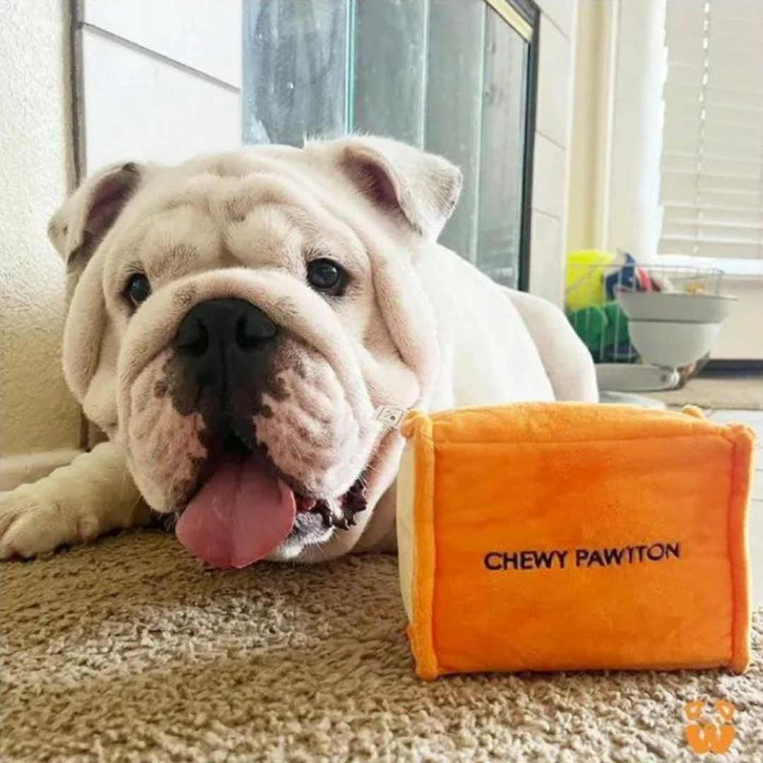 Pawty小橘盒發聲玩具