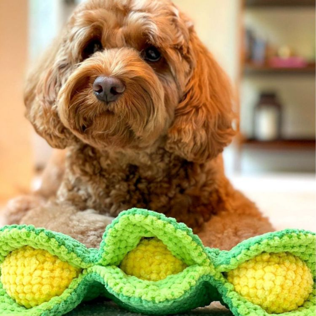 Pawty傑克的豌豆互動藏食玩具