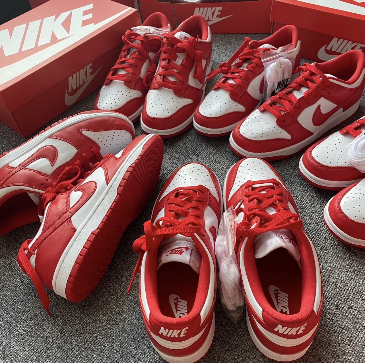 預購 Nike Dunk Low University Red 大學紅