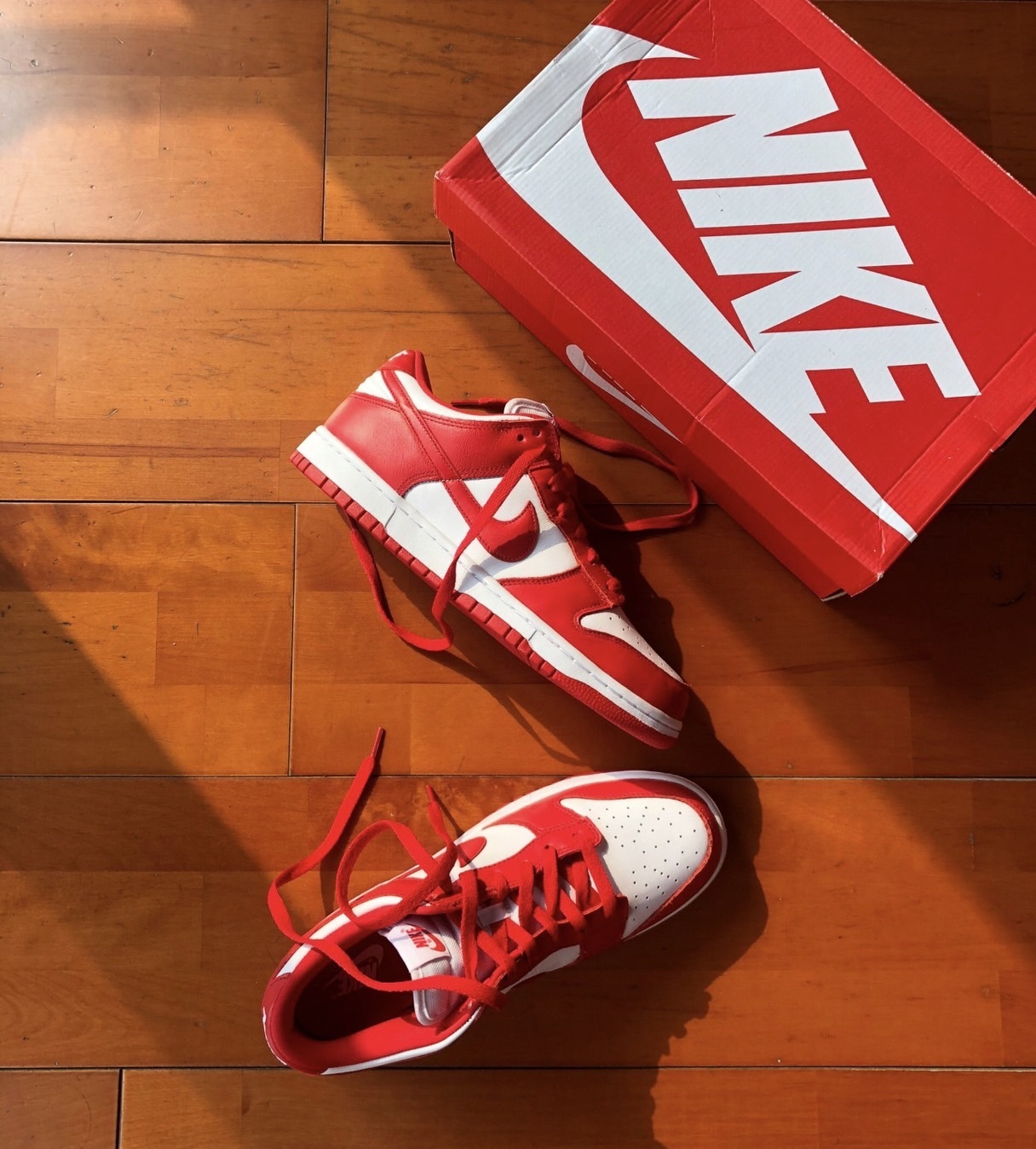 預購 Nike Dunk Low University Red 大學紅