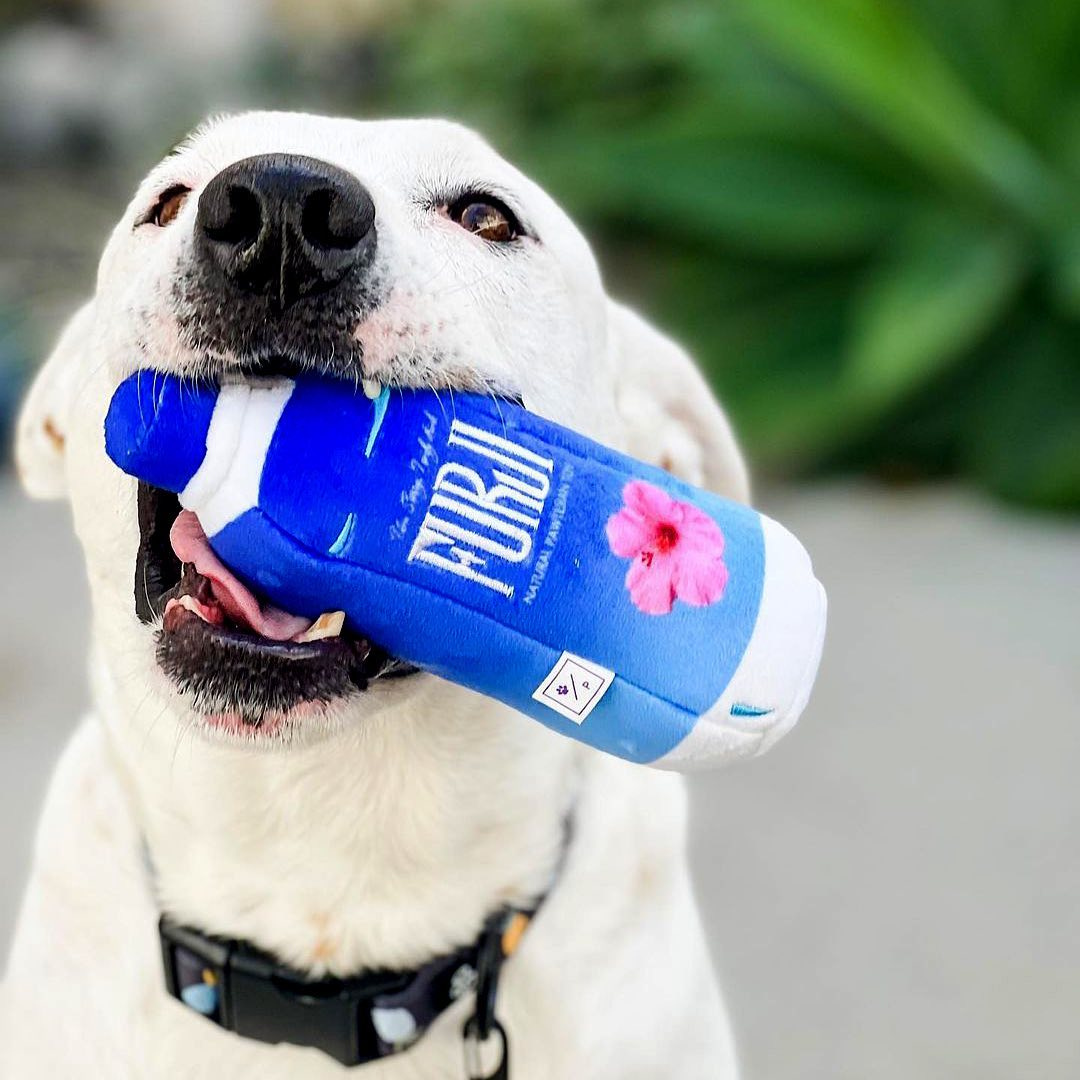 PAWTY FURJI水瓶發聲玩具