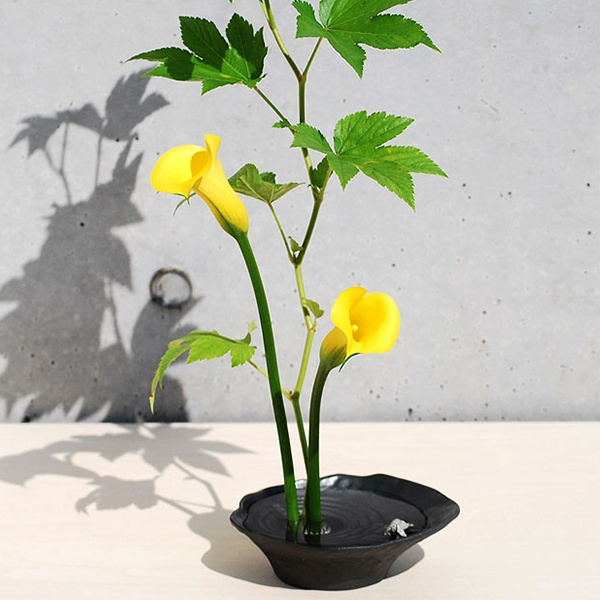 original.jpg?1694420259