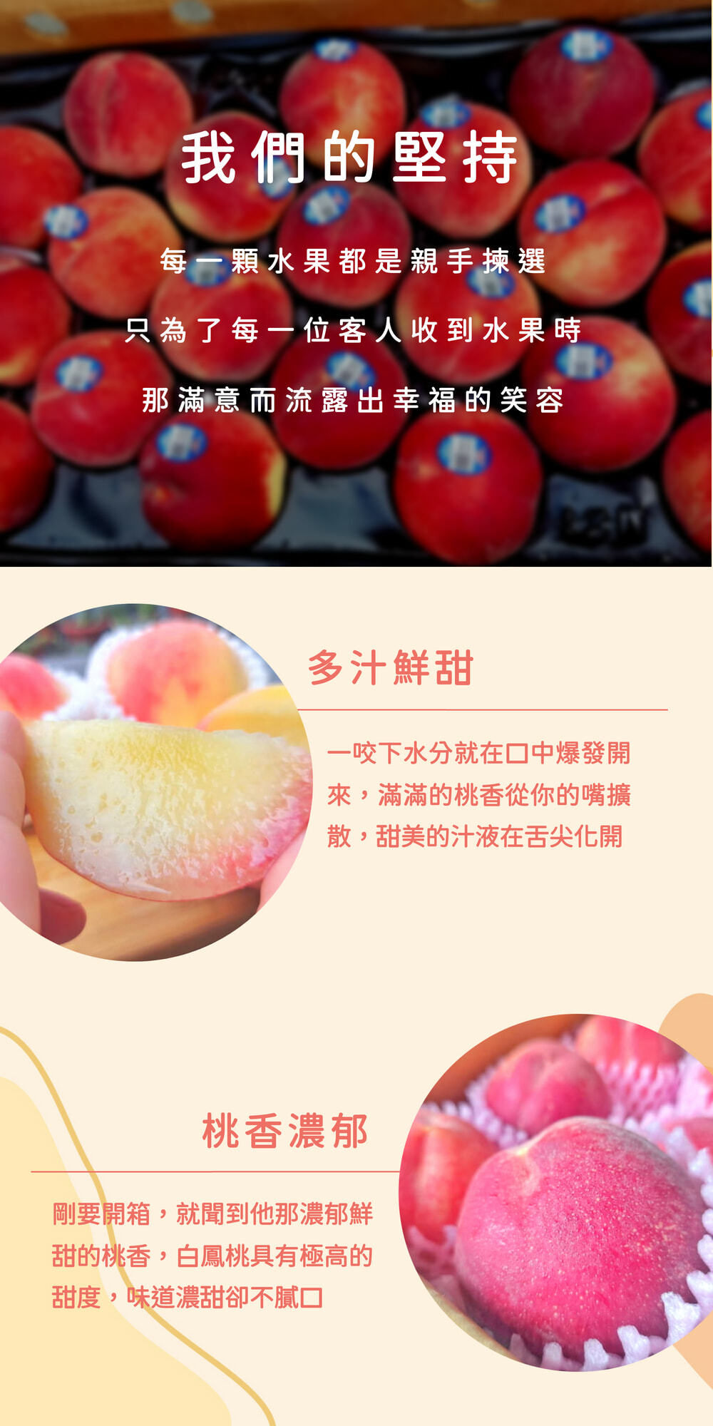美國華盛頓水蜜桃水果禮盒