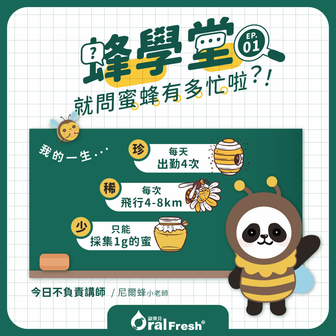 蜂學堂-單元1：就問蜜蜂有多忙？