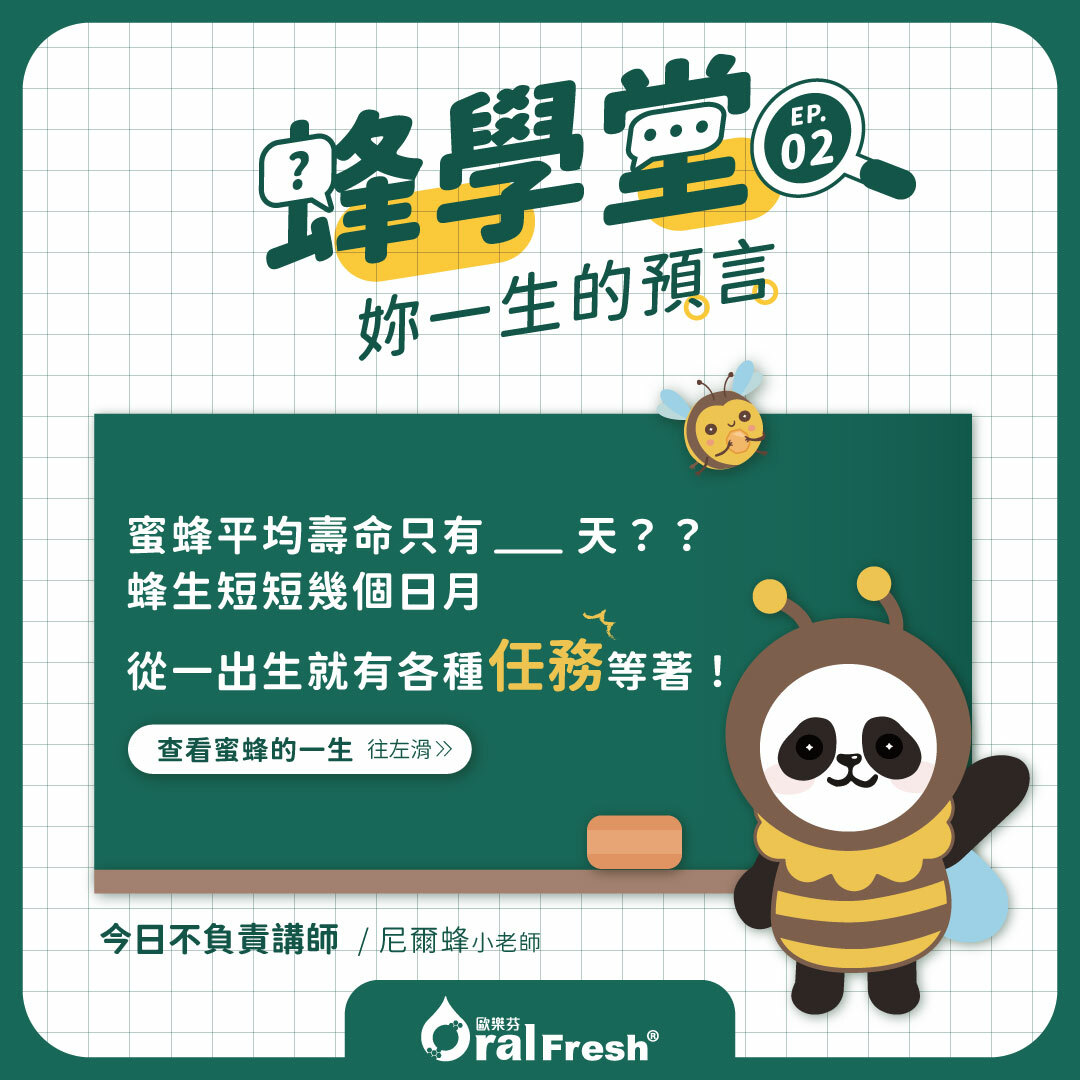 蜂學堂-單元2：妳一生的預言