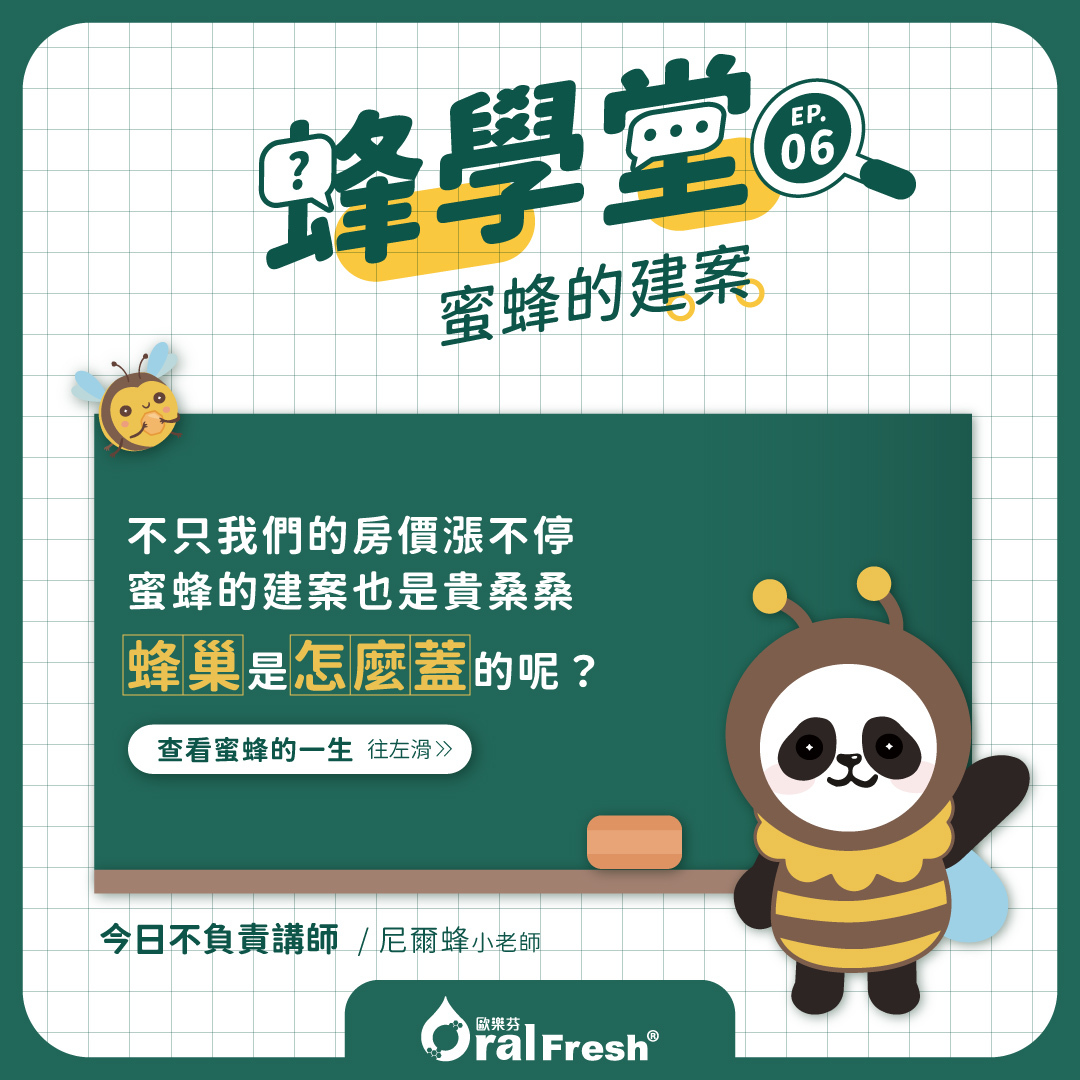 蜂學堂-單元6：蜜蜂的建案