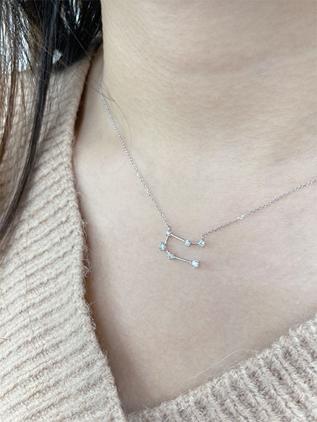 18K White Gold Gemini Diamond Necklace