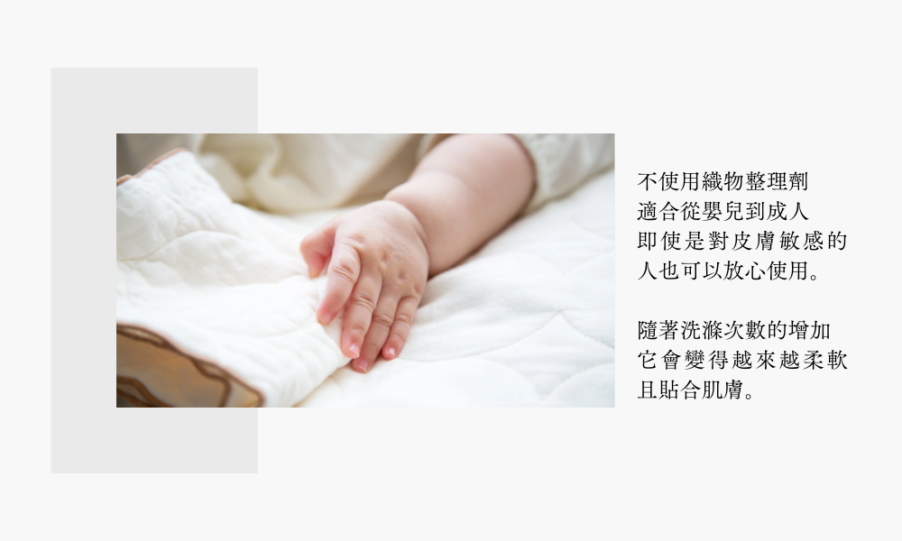 《YARN HOME》日本製pasima三層純棉超吸水速乾清潔擦拭布M 2件組 (餐具/蔬果/鍋墊/餐墊)