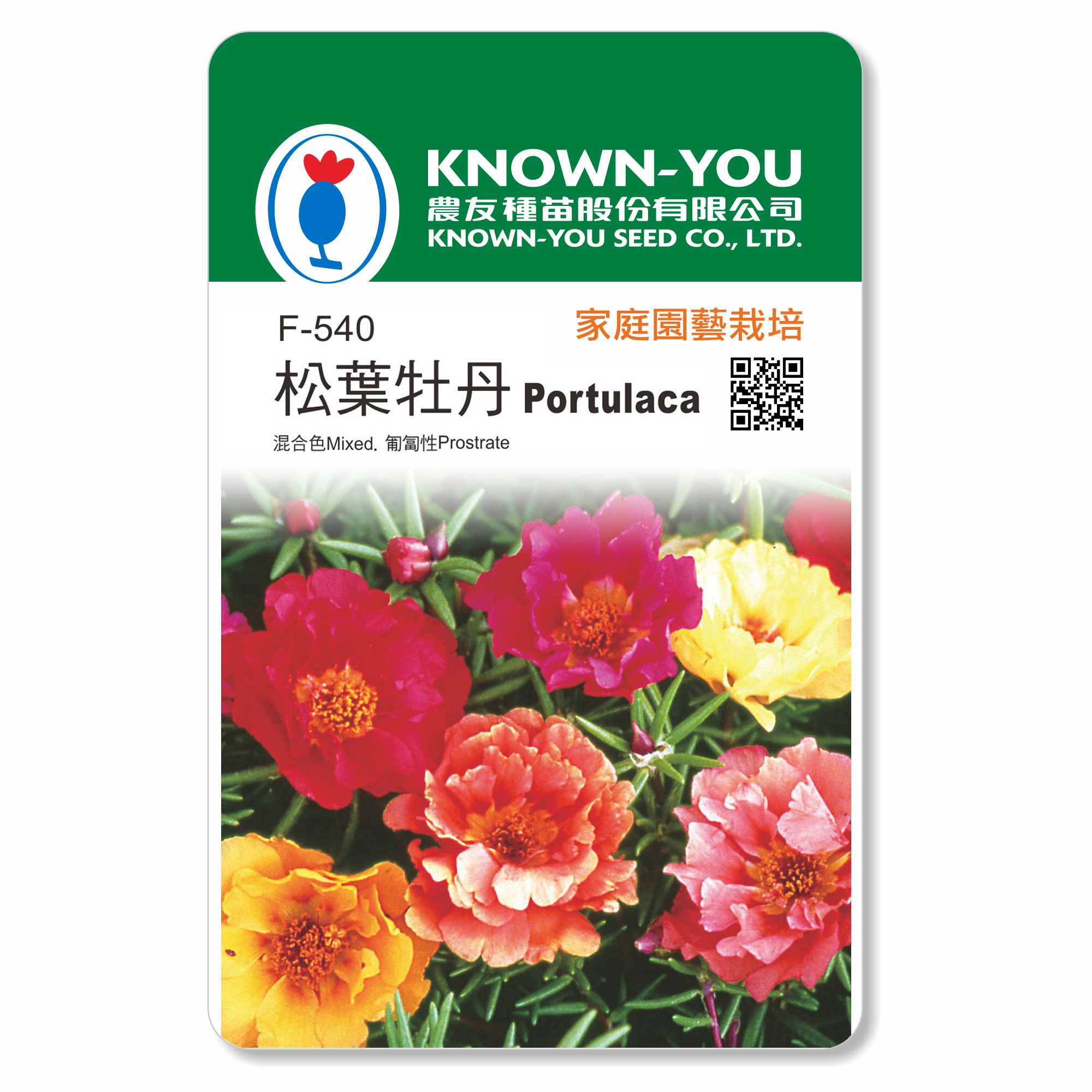 美品‼️ T.sucrei 選抜 銀葉種 赤花 花卉種子F-540松葉牡丹Portulaca