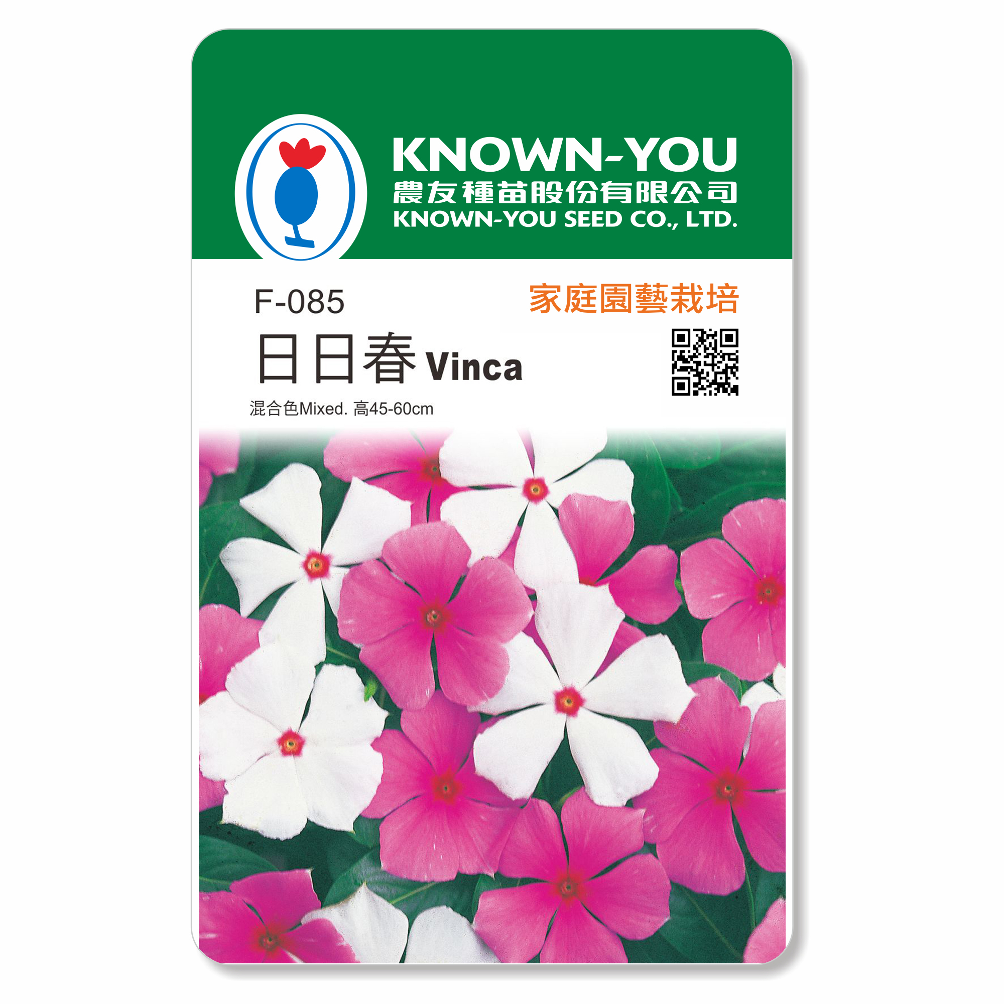 日野芳春　鎮宅守護四季花　掛軸　絹本 花卉種子F-085日日春Vinca