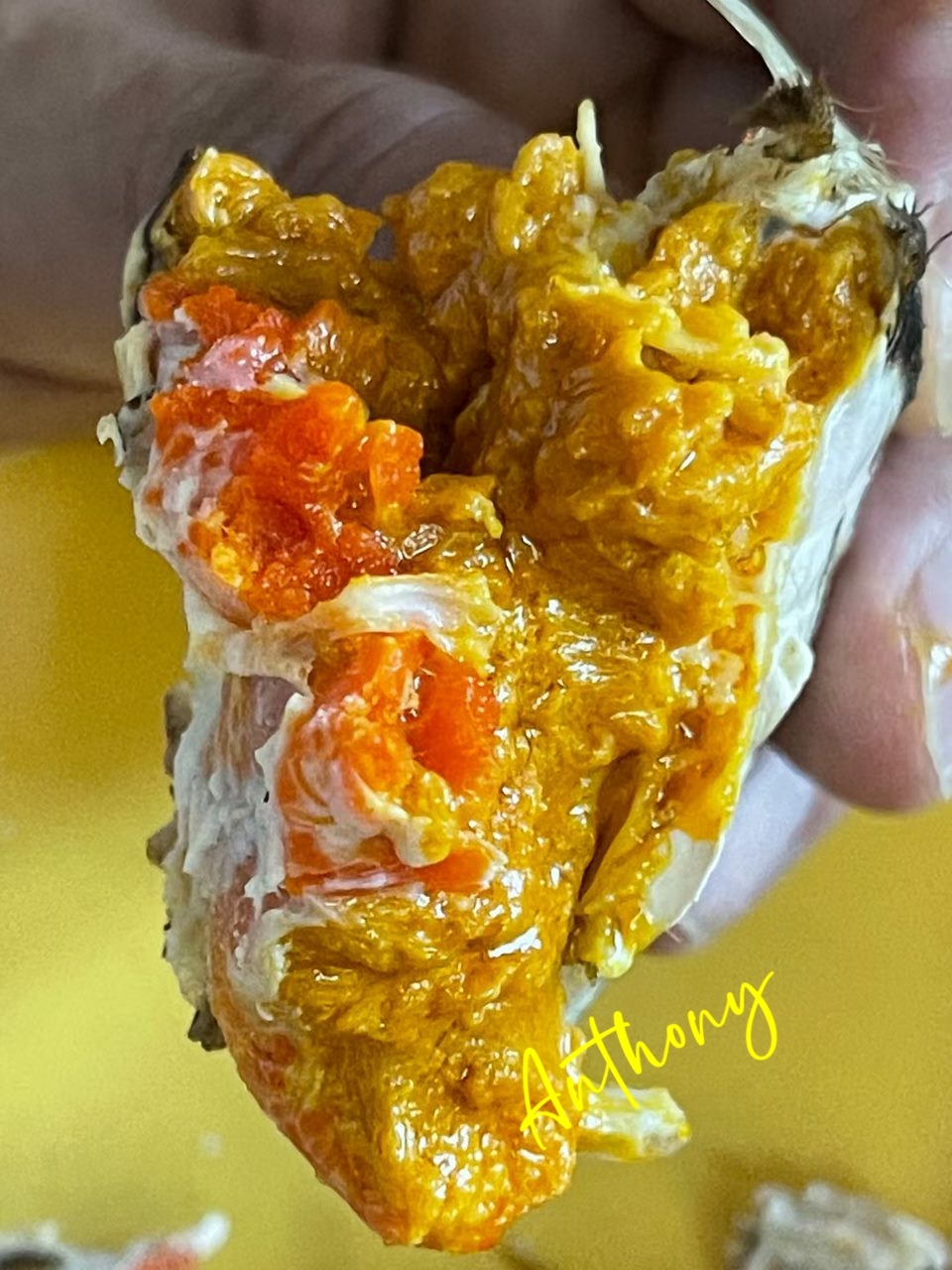 是日精選 - 極品后 (母蟹)