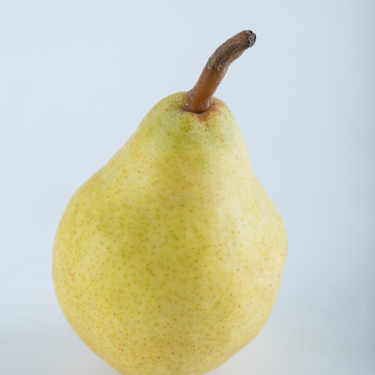 南非啤梨 (四隻)