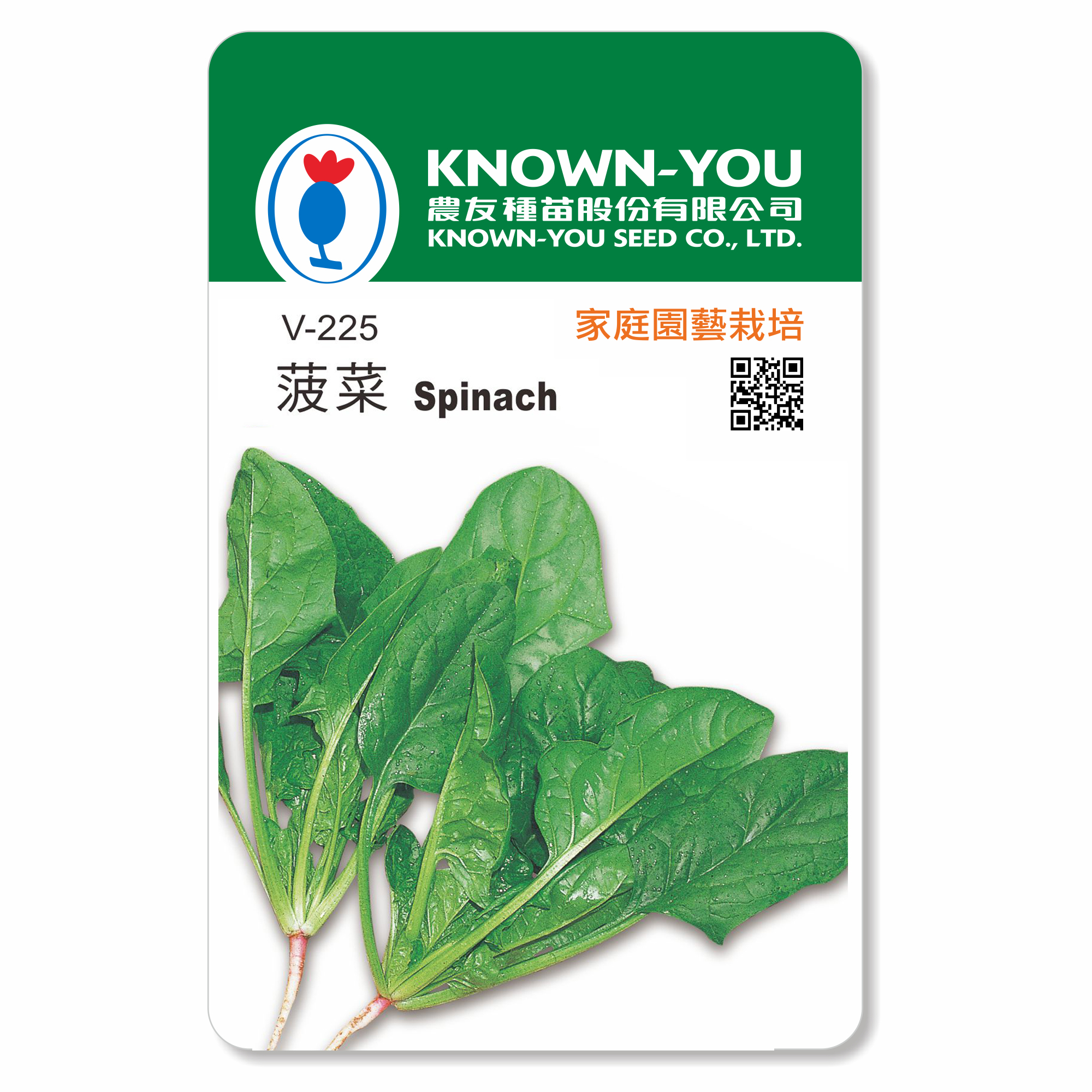 蔬果種子V-225菠菜Spinach