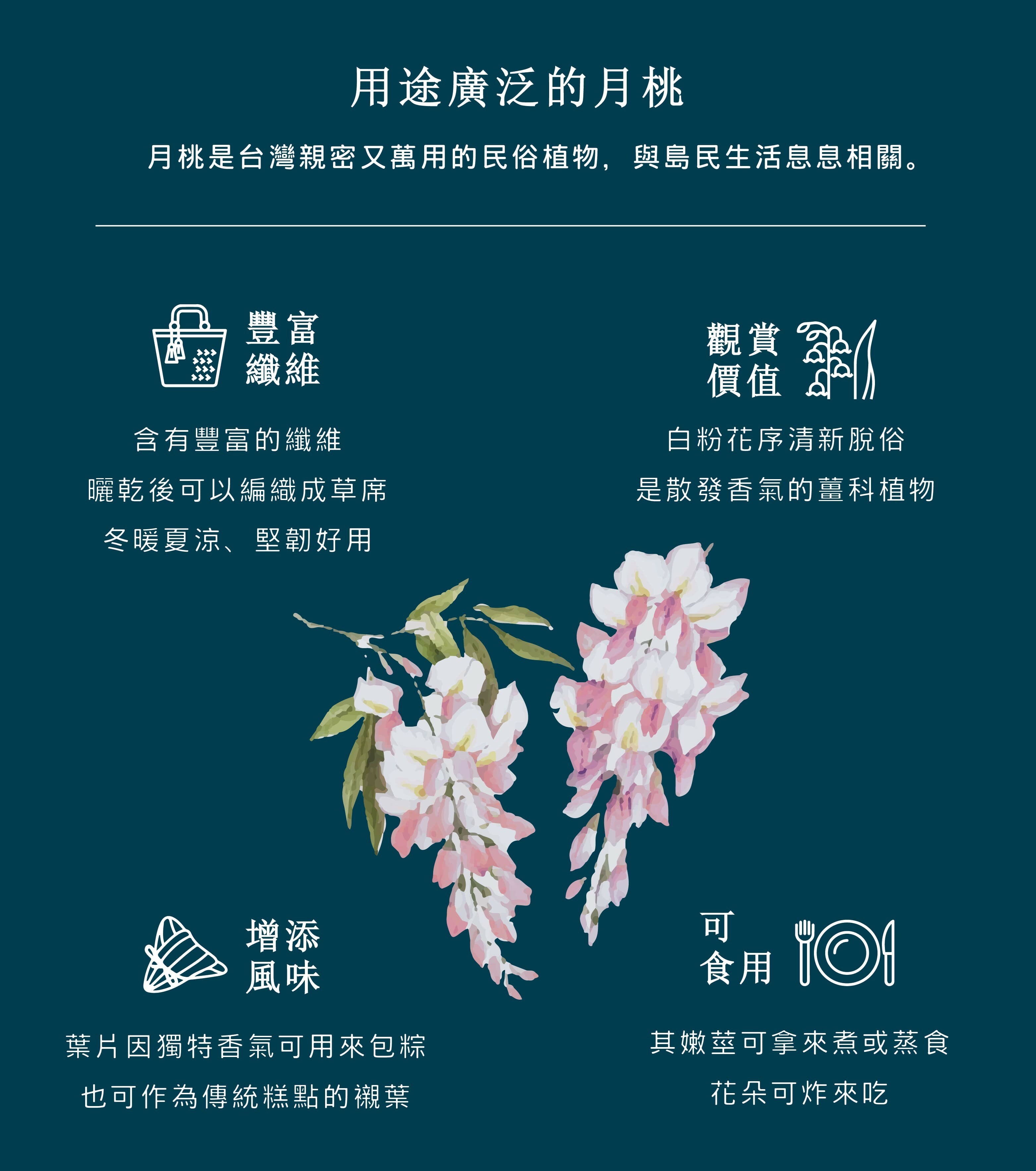 月桃花_單方精油