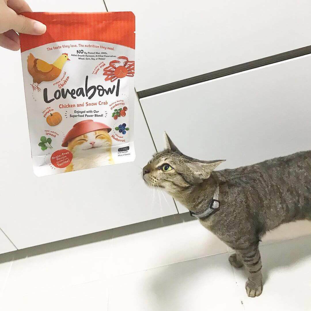 Loveabowl 無穀物雪蟹雞肉海陸全貓配方 1KG [深橙]