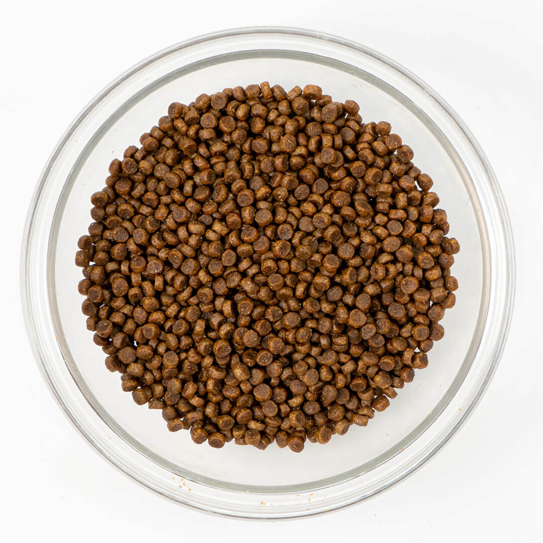 Loveabowl 無穀物雞肉全貓配方 1KG [橙]