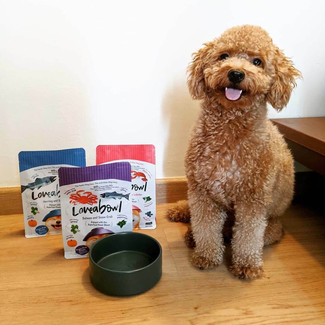 Loveabowl 無穀物龍蝦雞肉海陸全犬配方 10KG [粉紅]